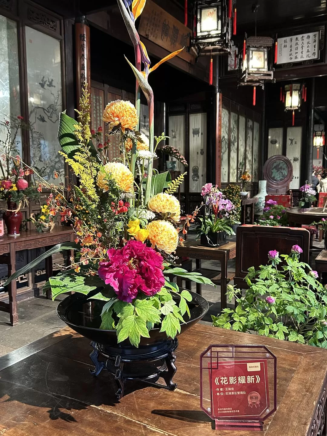 旅游推荐⭐春节出行:南京-苏州-无锡 大成功✅