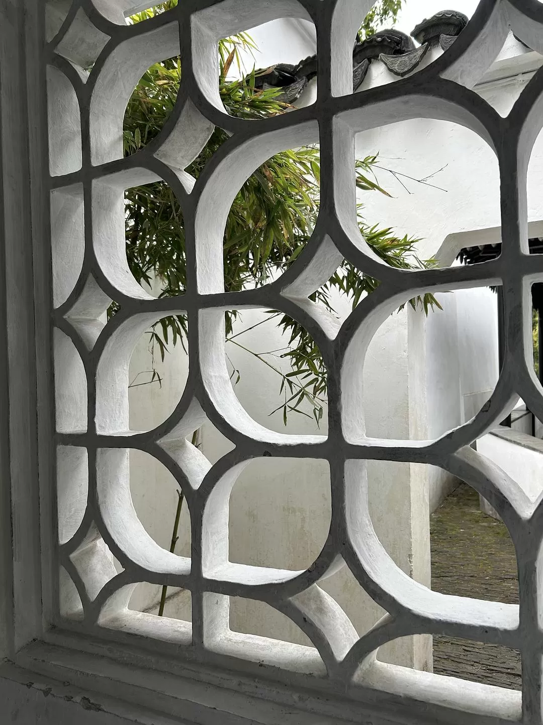 旅游推荐⭐春节出行:南京-苏州-无锡 大成功✅