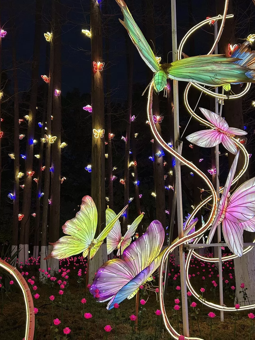 旅游推荐⭐春节出行:南京-苏州-无锡 大成功✅