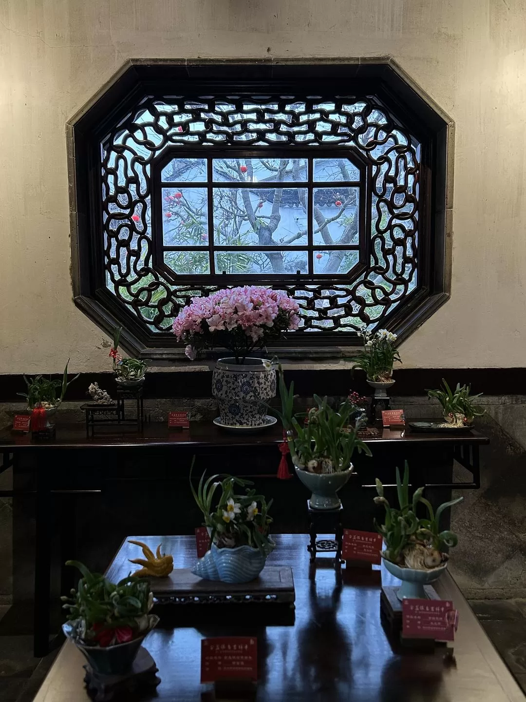 旅游推荐⭐春节出行：南京-苏州-无锡 大成功✅