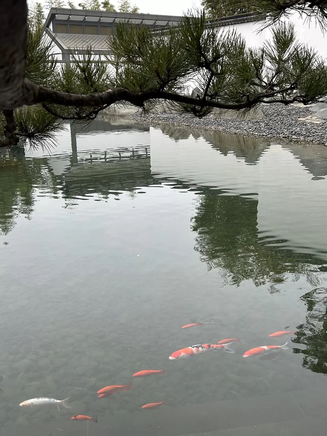 旅游推荐⭐春节出行:南京-苏州-无锡 大成功✅