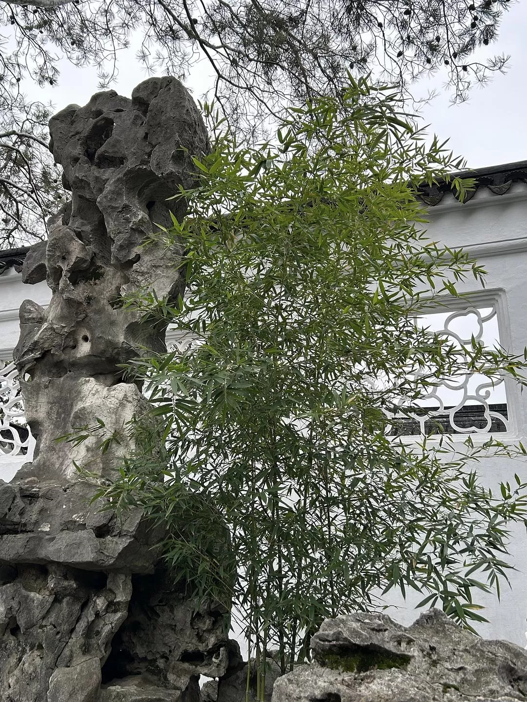 旅游推荐⭐春节出行：南京-苏州-无锡 大成功✅