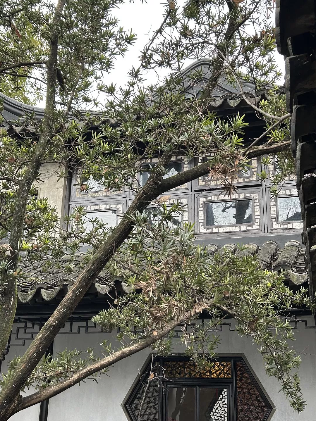 旅游推荐⭐春节出行:南京-苏州-无锡 大成功✅