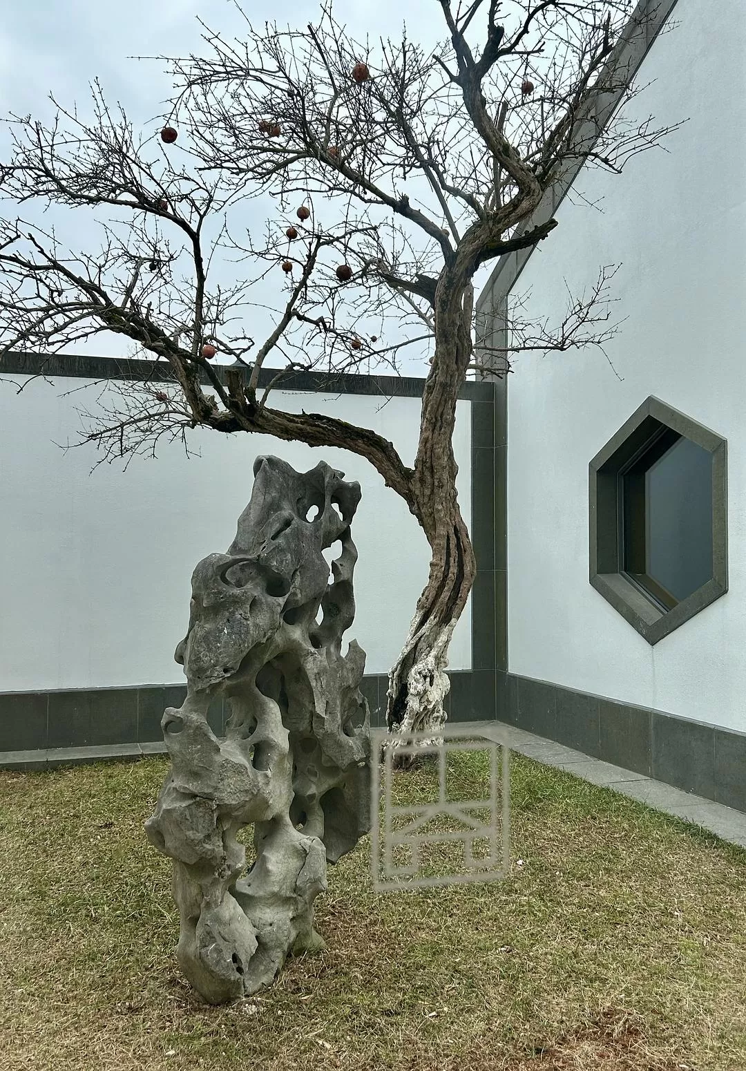 旅游推荐⭐春节出行:南京-苏州-无锡 大成功✅