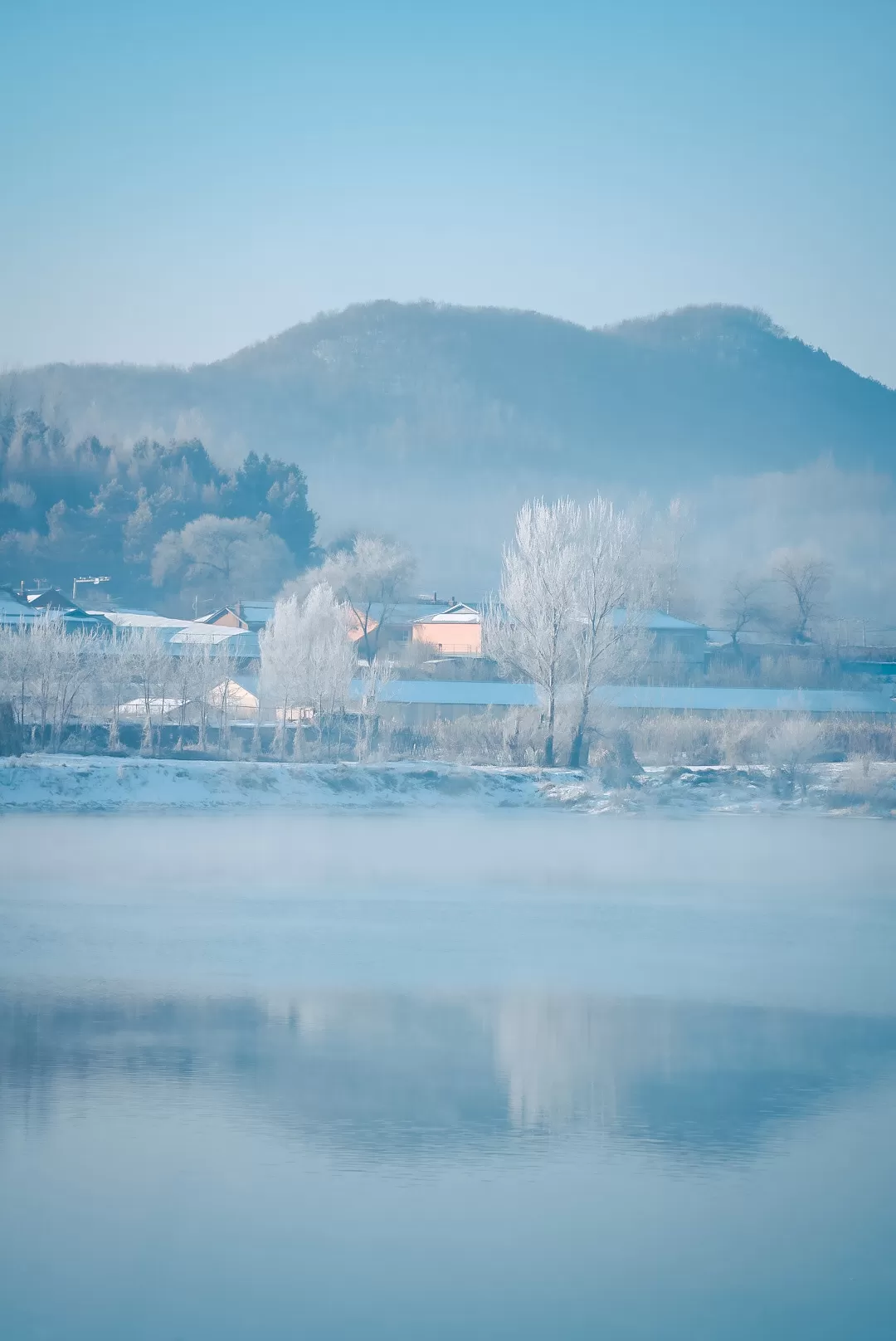 旅游推荐💖一人游：去东北看雾凇和不冻河