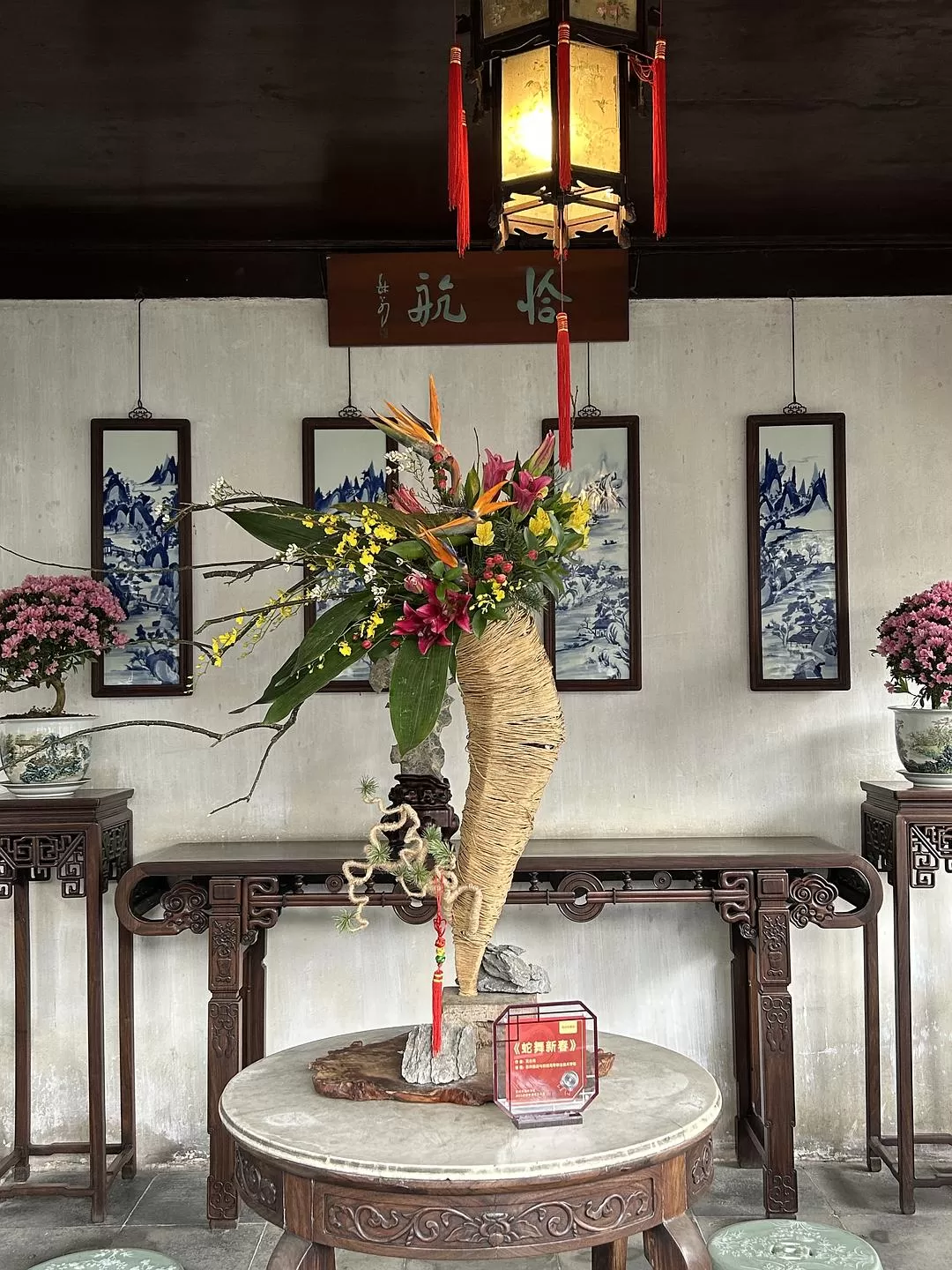 旅游推荐⭐春节出行:南京-苏州-无锡 大成功✅