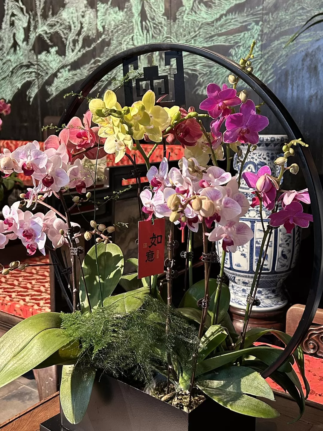 旅游推荐⭐春节出行：南京-苏州-无锡 大成功✅