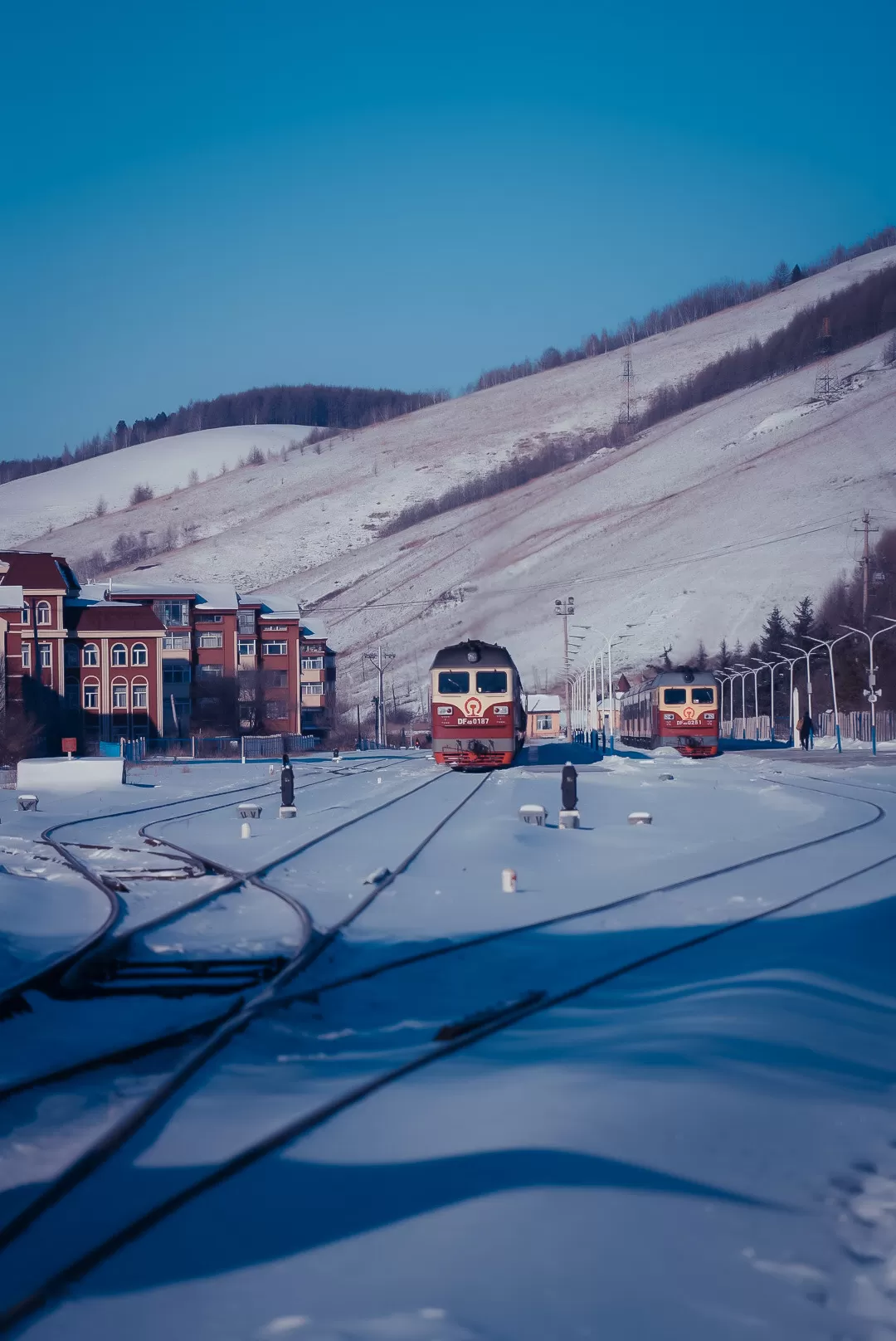 旅游推荐💖一人游：去东北看雾凇和不冻河