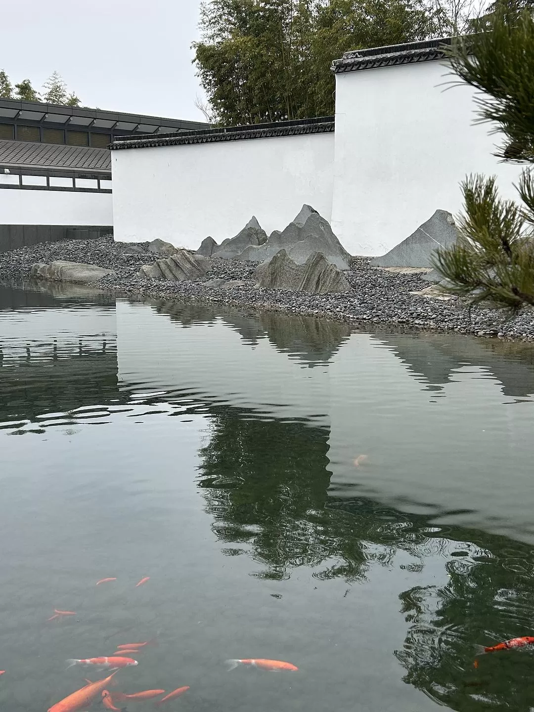 旅游推荐⭐春节出行：南京-苏州-无锡 大成功✅