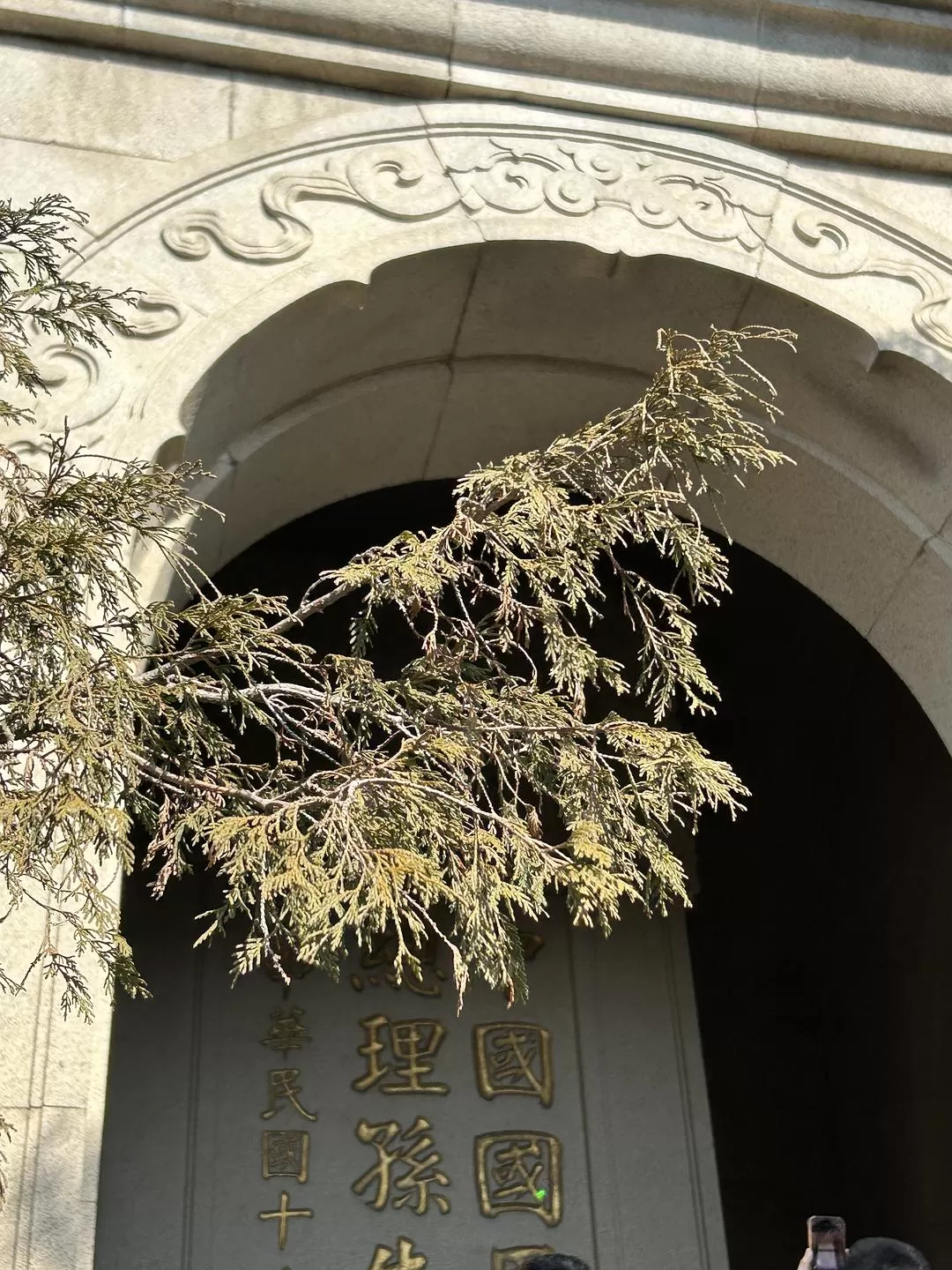 旅游推荐⭐春节出行:南京-苏州-无锡 大成功✅