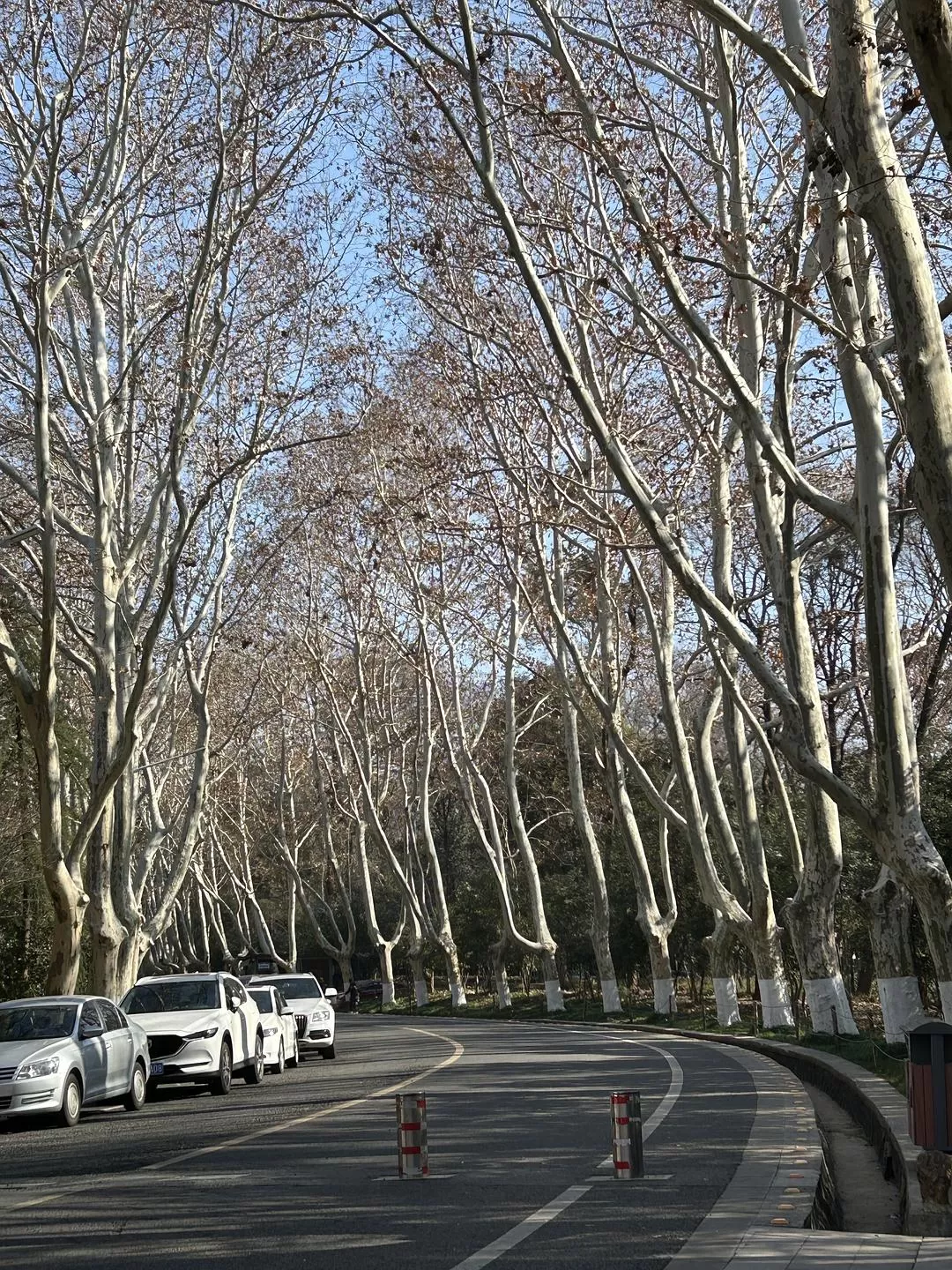 旅游推荐⭐春节出行：南京-苏州-无锡 大成功✅