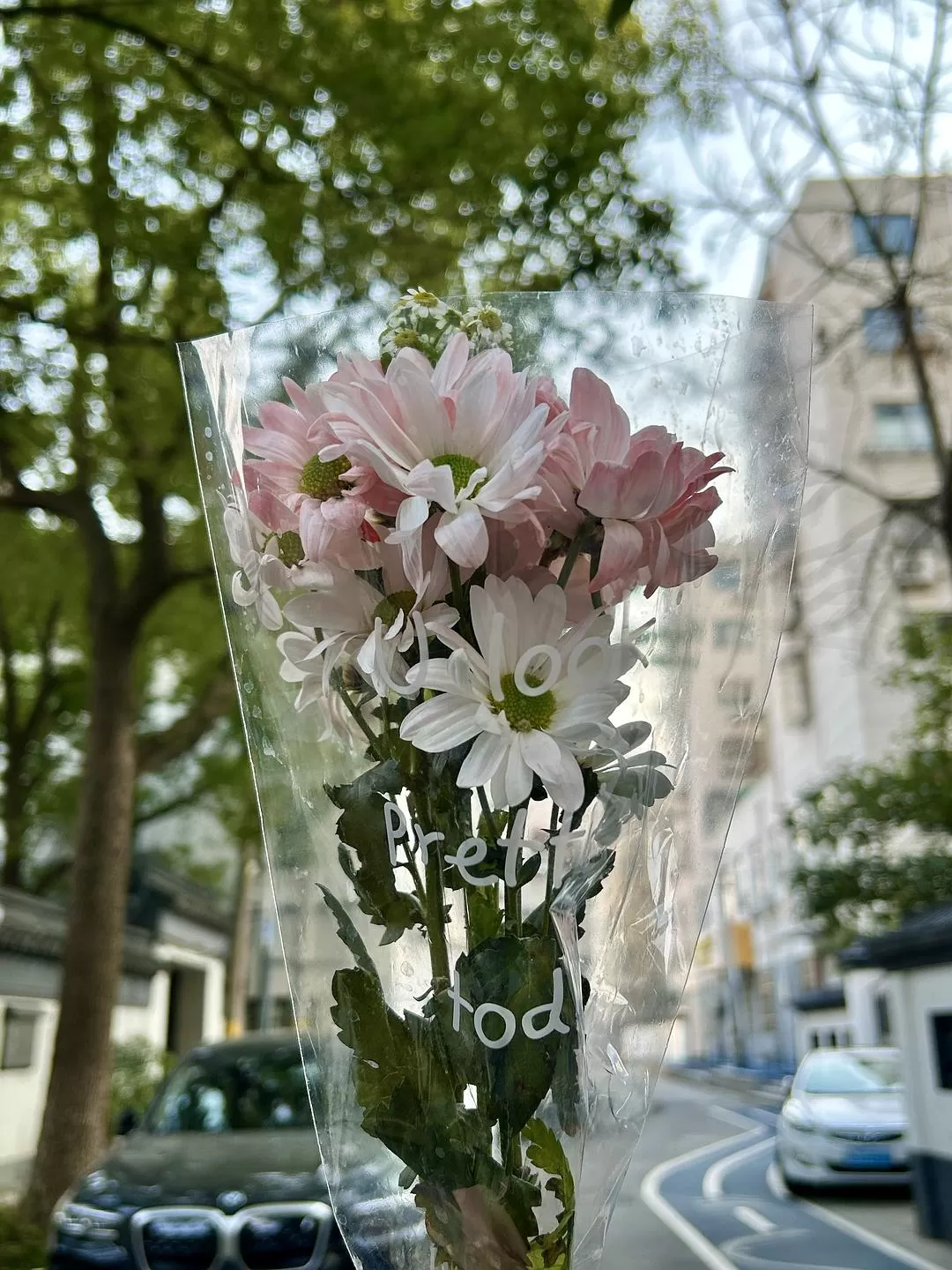 旅游推荐⭐春节出行：南京-苏州-无锡 大成功✅