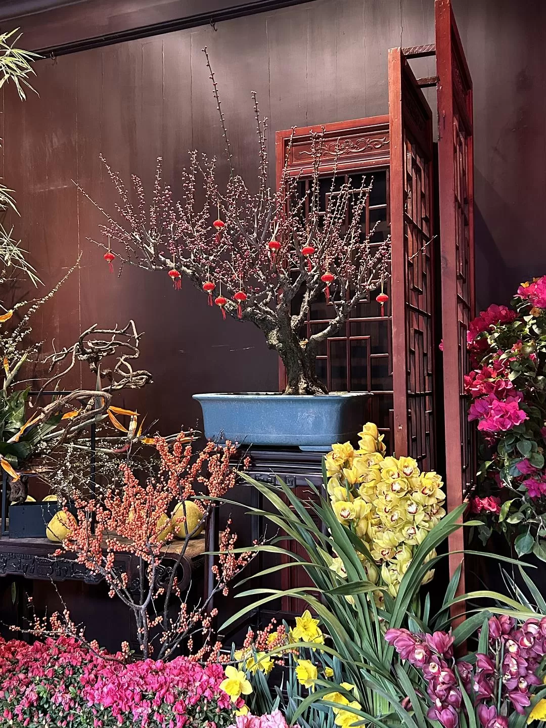 旅游推荐⭐春节出行：南京-苏州-无锡 大成功✅