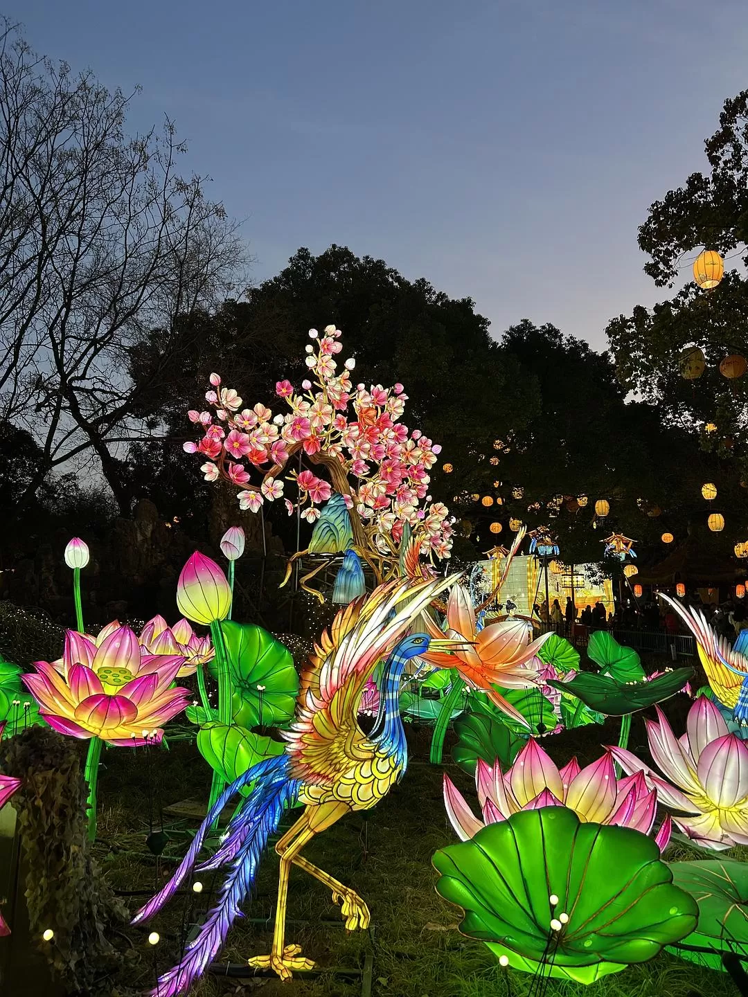 旅游推荐⭐春节出行：南京-苏州-无锡 大成功✅