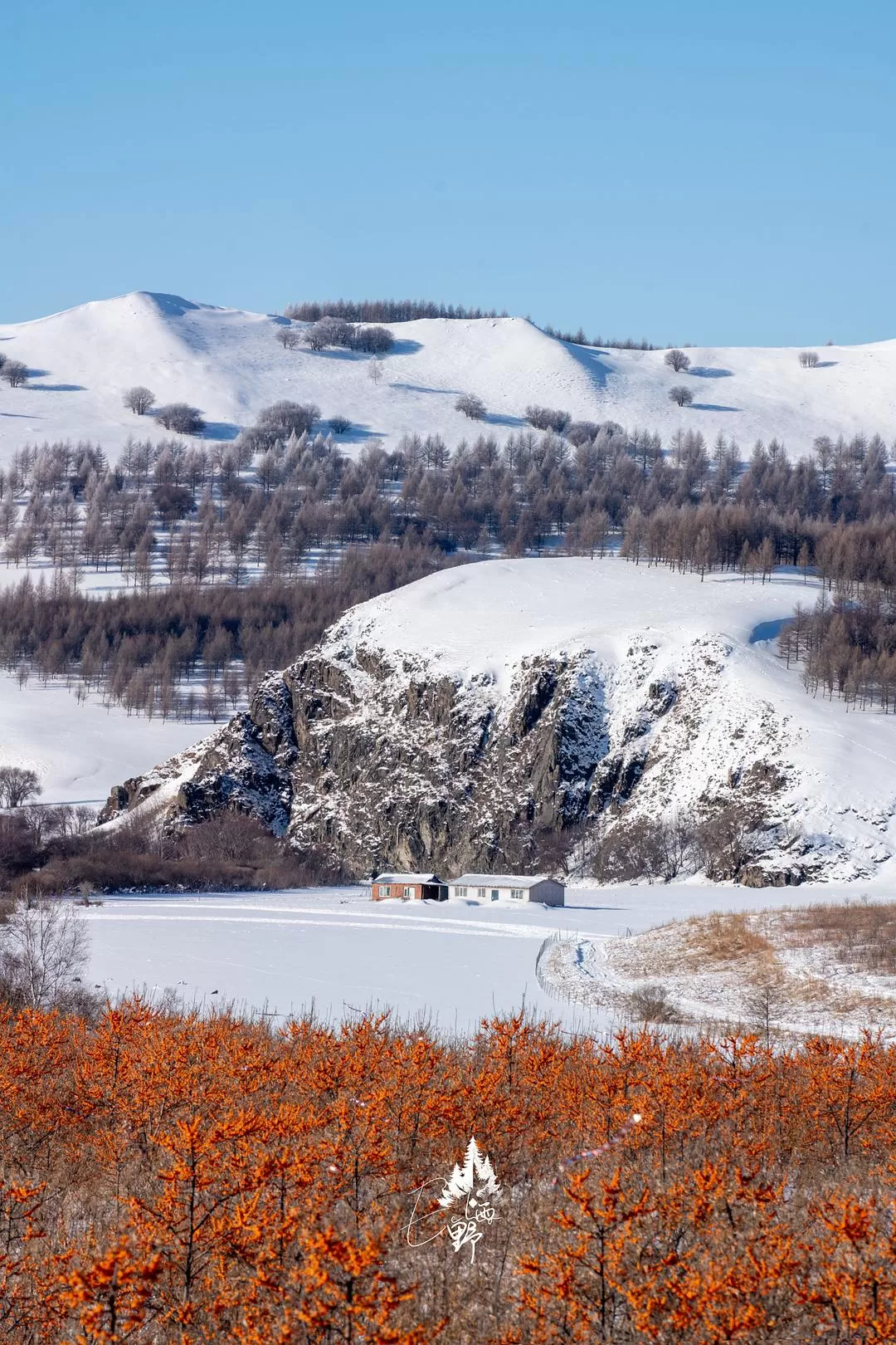 旅游推荐💖一人游：去东北看雾凇和不冻河