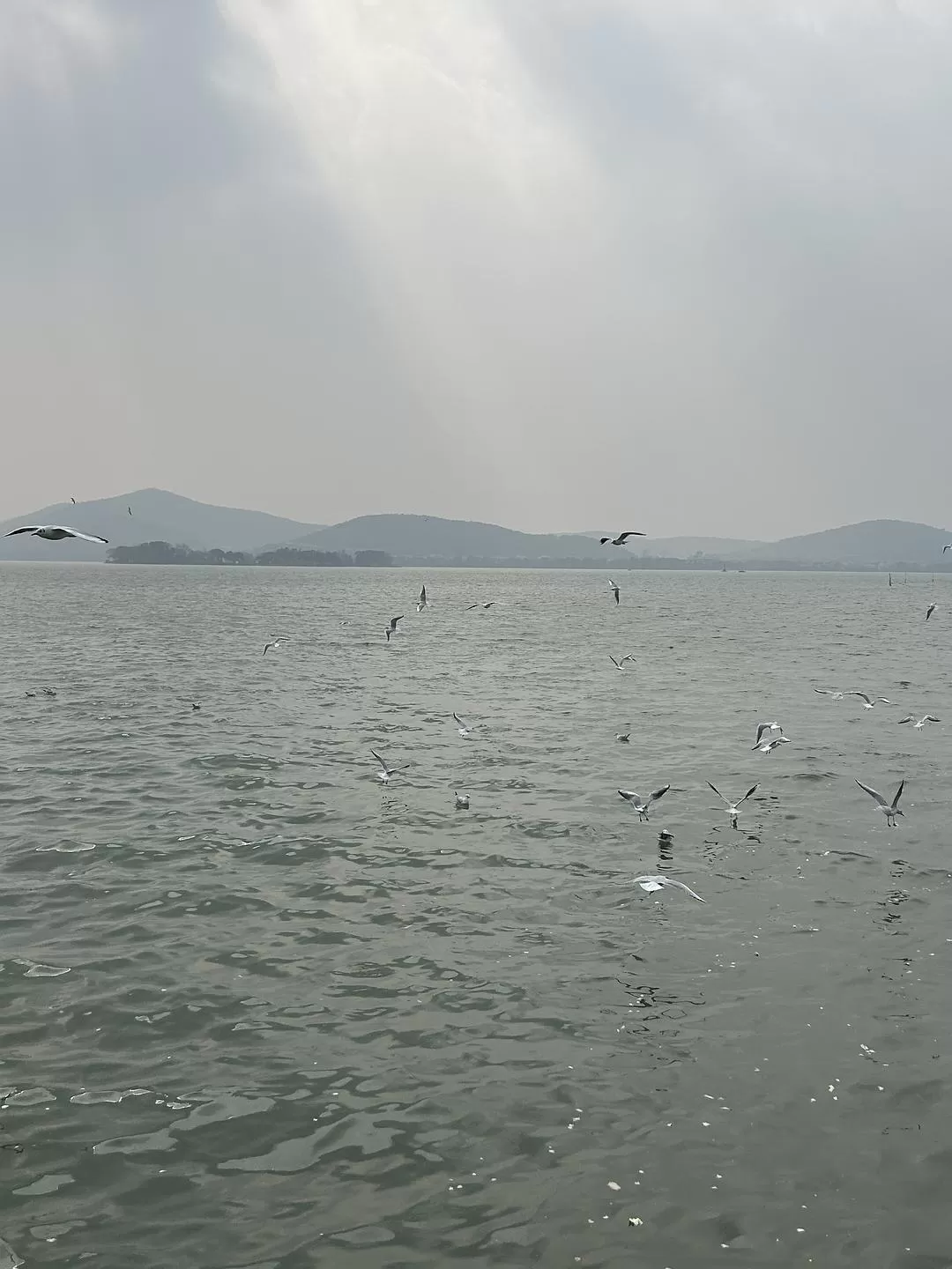 旅游推荐⭐春节出行：南京-苏州-无锡 大成功✅