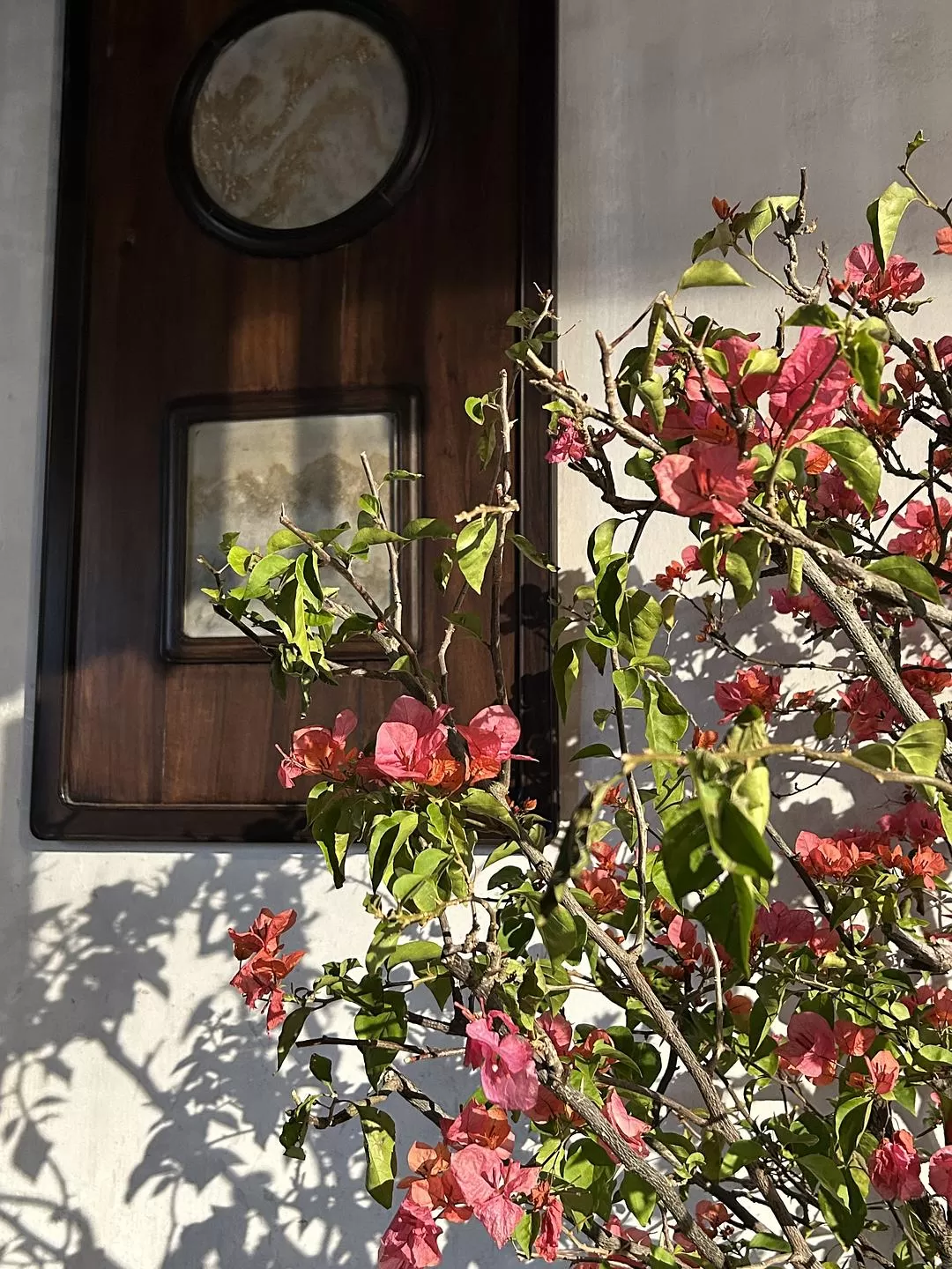 旅游推荐⭐春节出行：南京-苏州-无锡 大成功✅