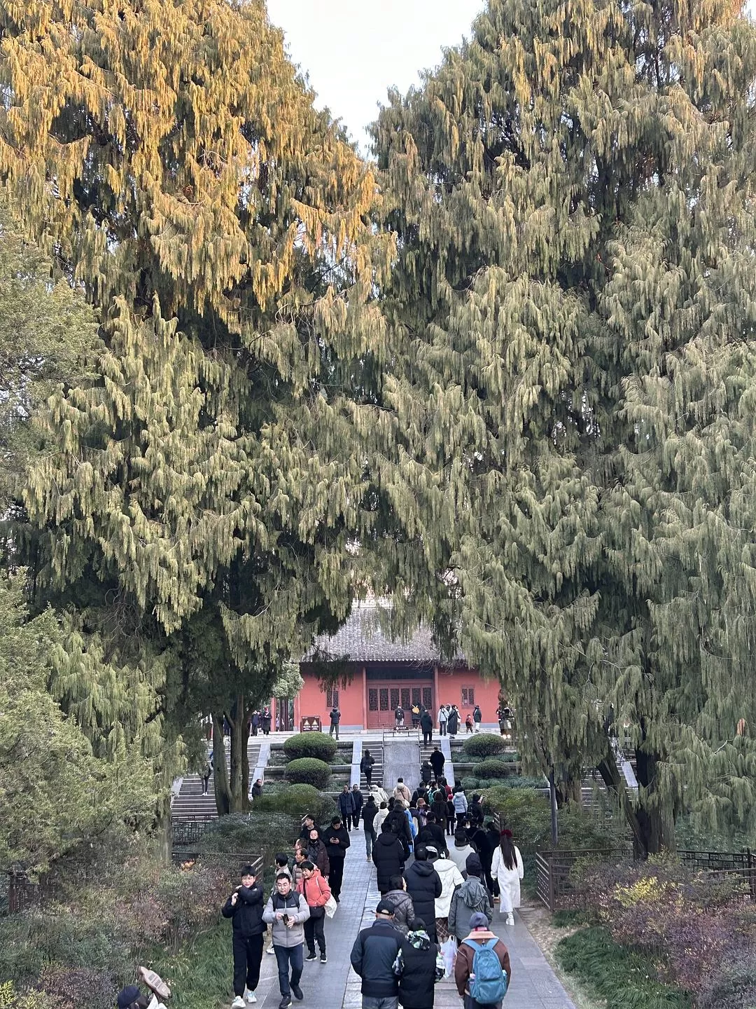 旅游推荐⭐春节出行：南京-苏州-无锡 大成功✅