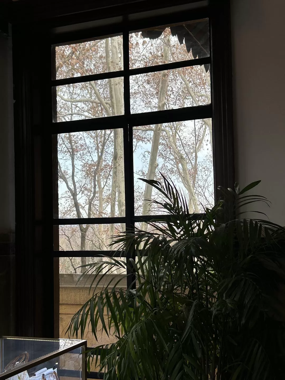 旅游推荐⭐春节出行:南京-苏州-无锡 大成功✅