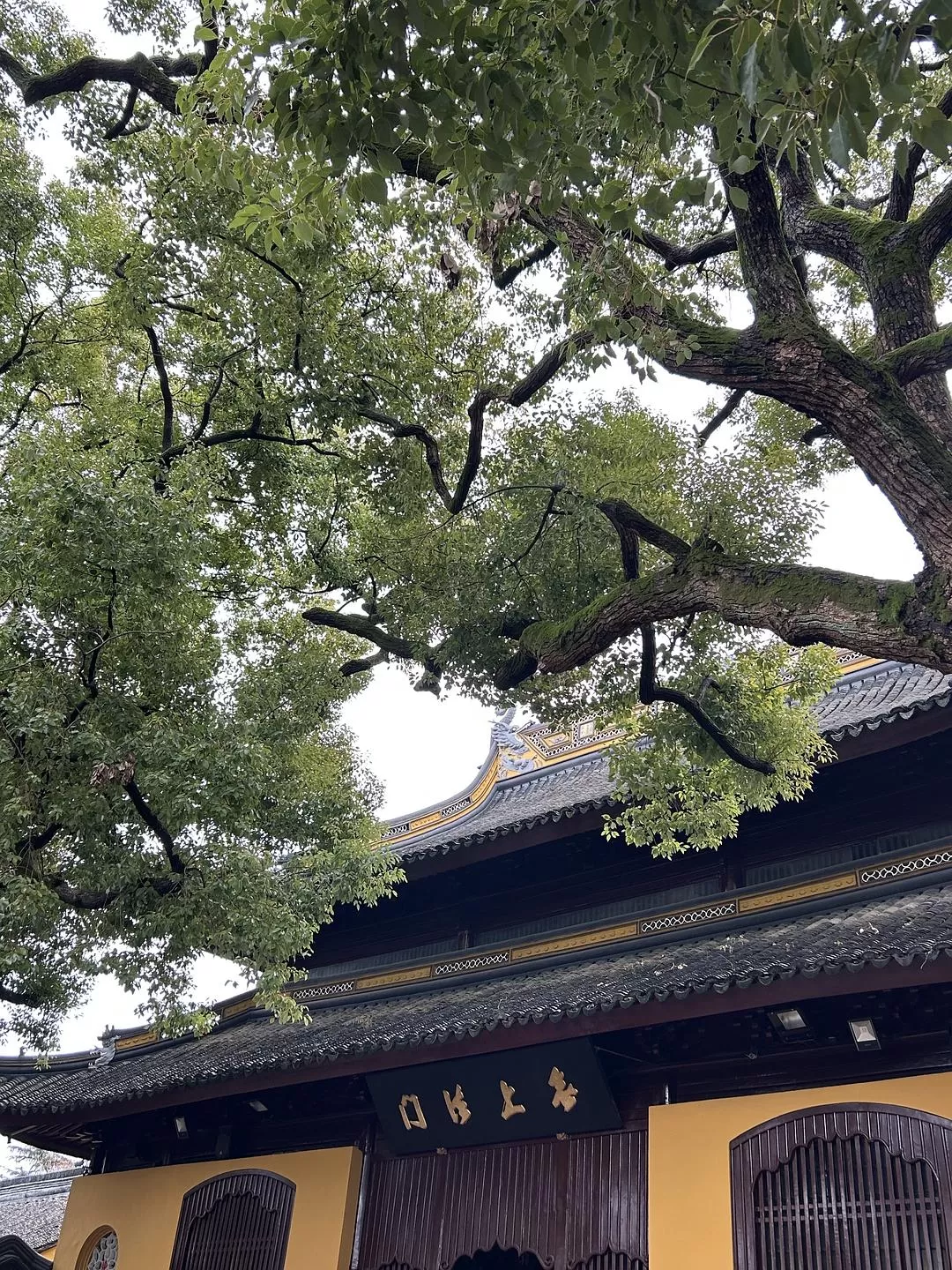 旅游推荐⭐春节出行：南京-苏州-无锡 大成功✅