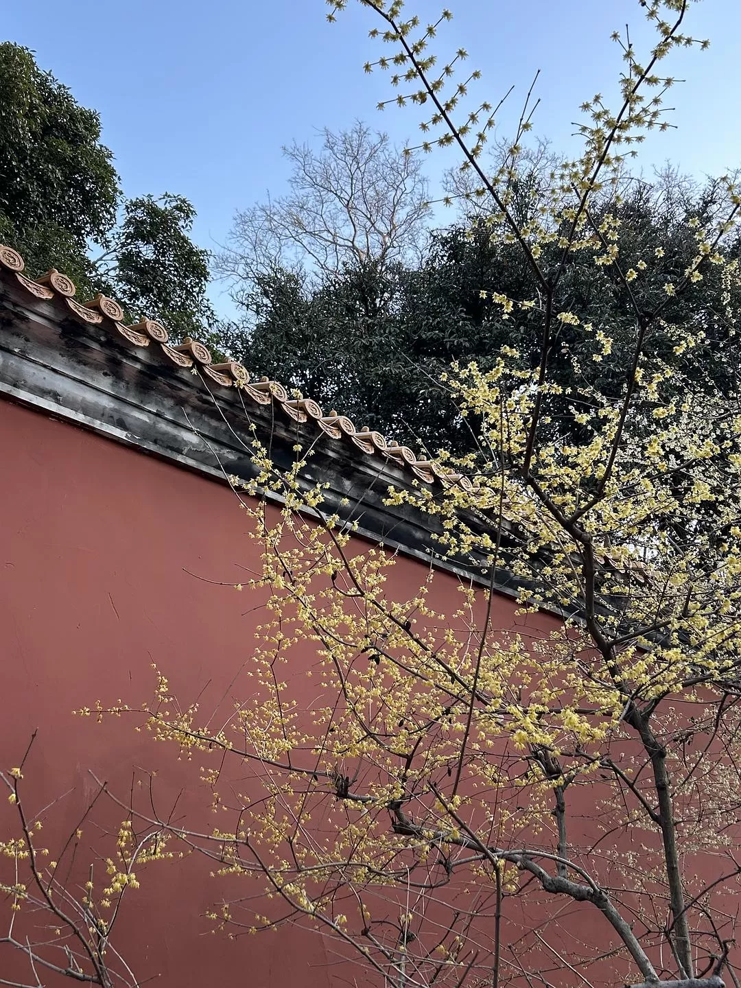 旅游推荐⭐春节出行：南京-苏州-无锡 大成功✅