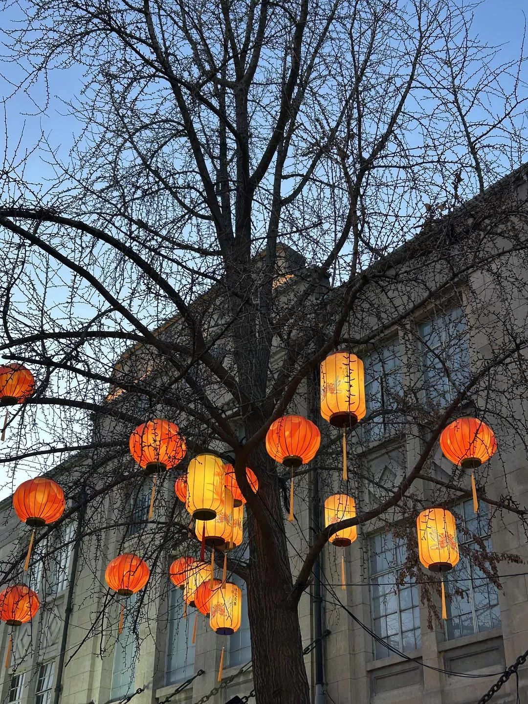 旅游推荐⭐春节出行：南京-苏州-无锡 大成功✅