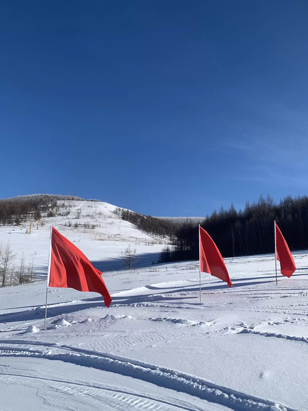 旅游推荐💖一人游：去东北看雾凇和不冻河