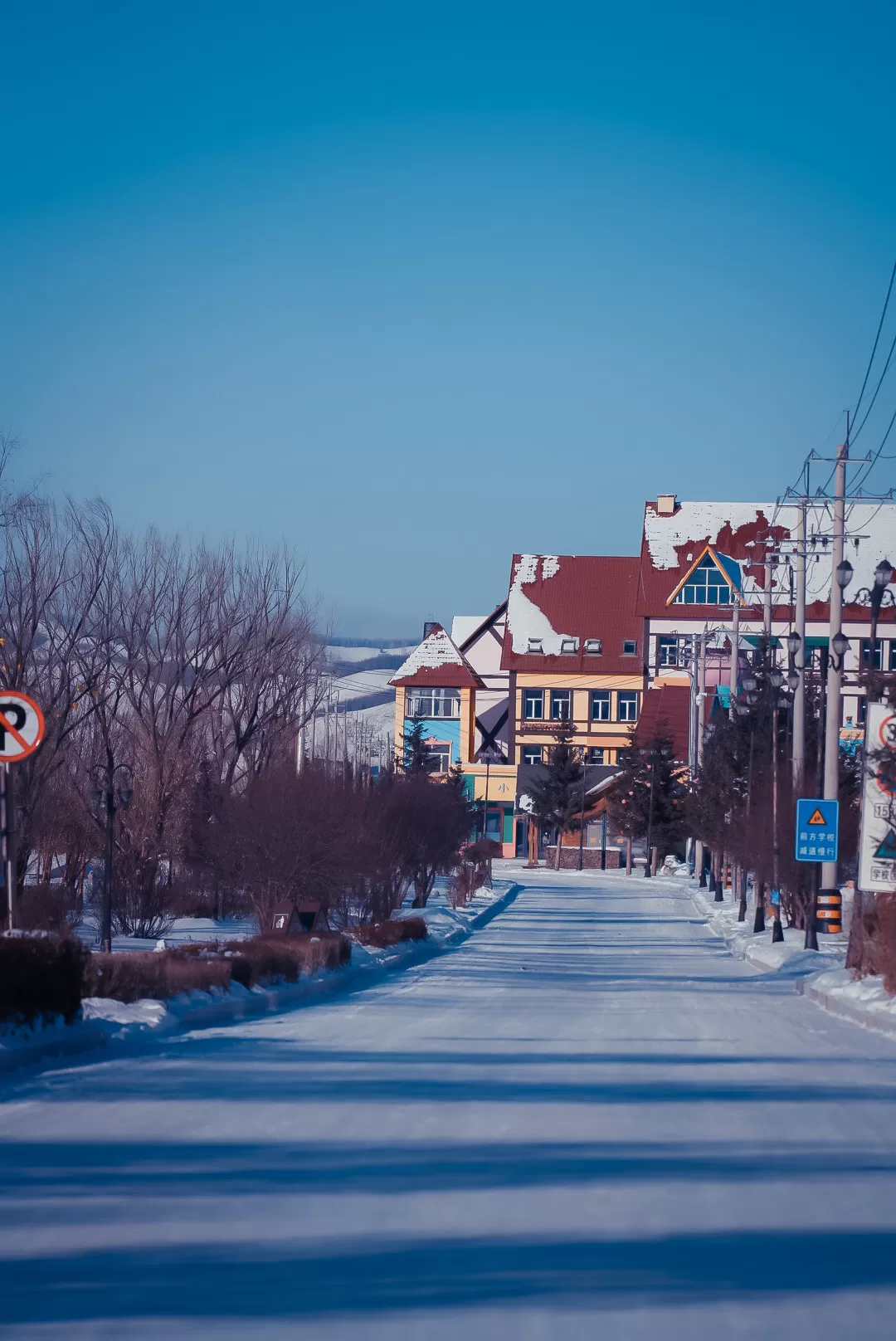 旅游推荐💖一人游：去东北看雾凇和不冻河