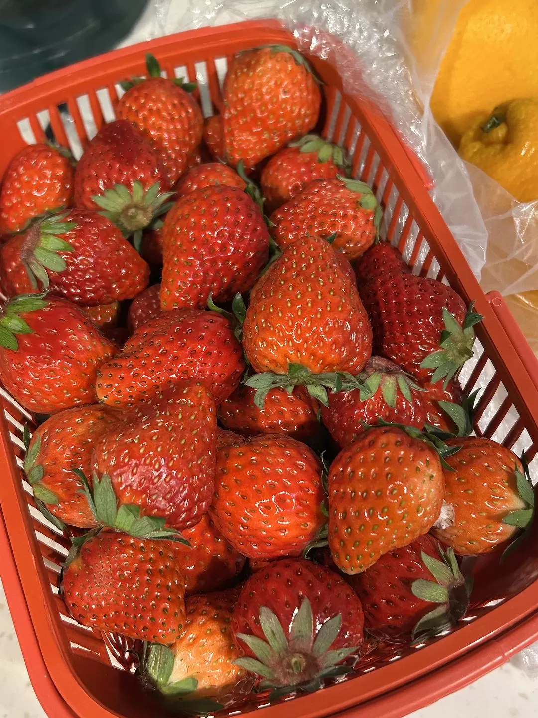 旅游推荐⭐春节出行：南京-苏州-无锡 大成功✅