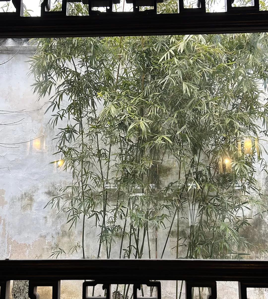 旅游推荐⭐春节出行:南京-苏州-无锡 大成功✅