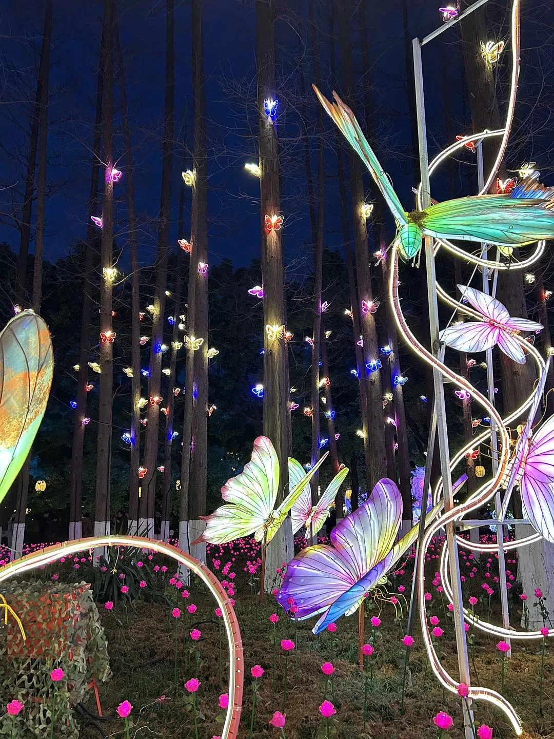 旅游推荐⭐春节出行：南京-苏州-无锡 大成功✅