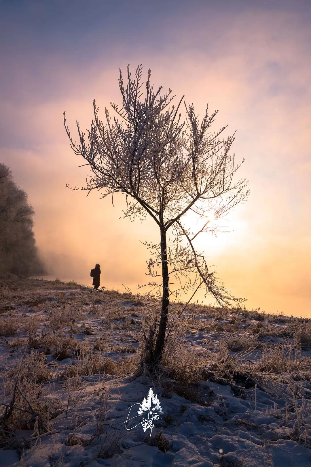 旅游推荐💖一人游：去东北看雾凇和不冻河