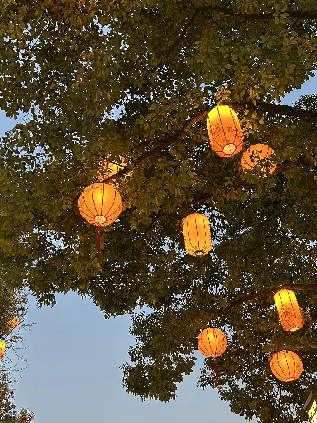 旅游推荐⭐春节出行:南京-苏州-无锡 大成功✅