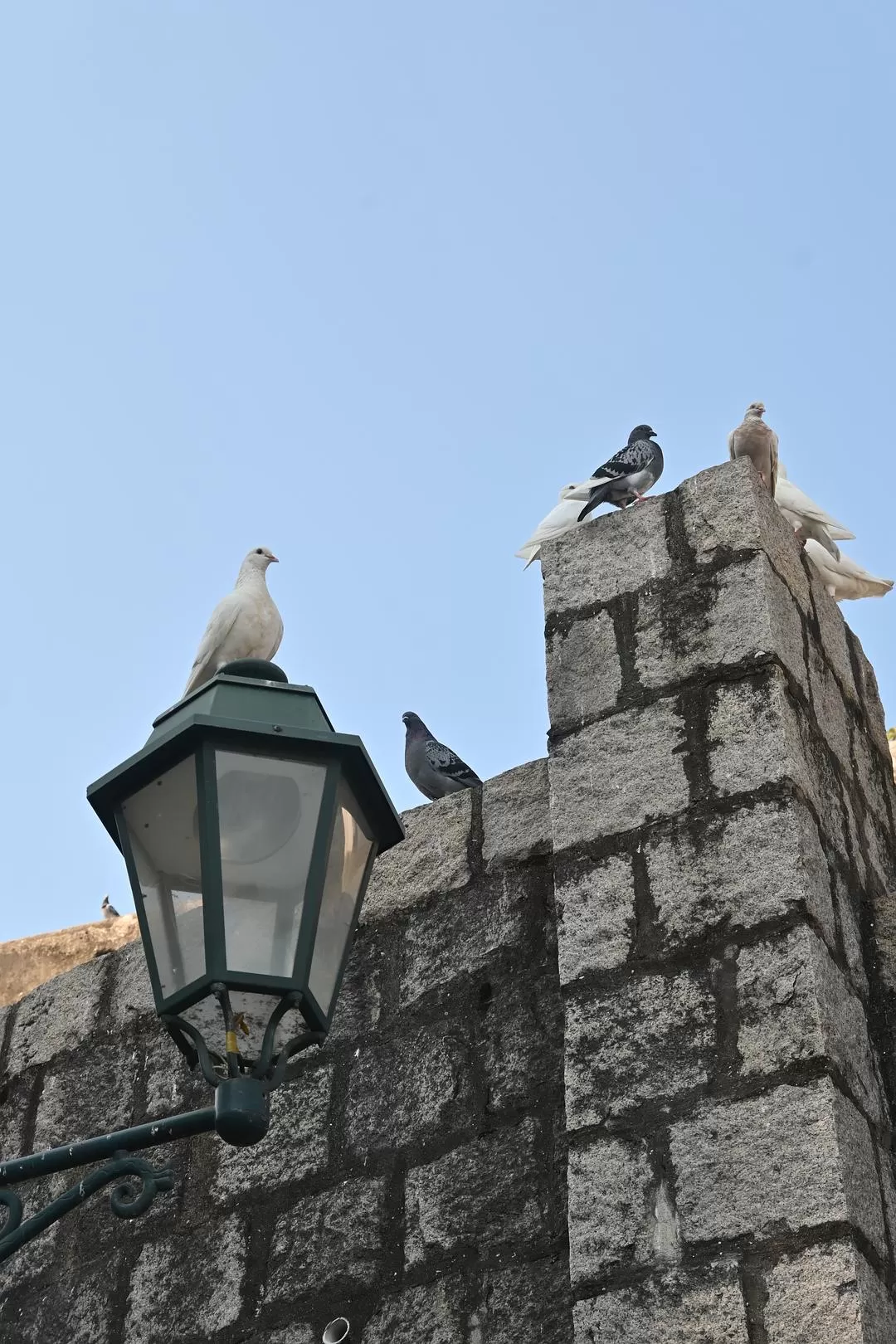 旅游推荐⚡一人游：在🇲🇴的打卡之旅（随心版）