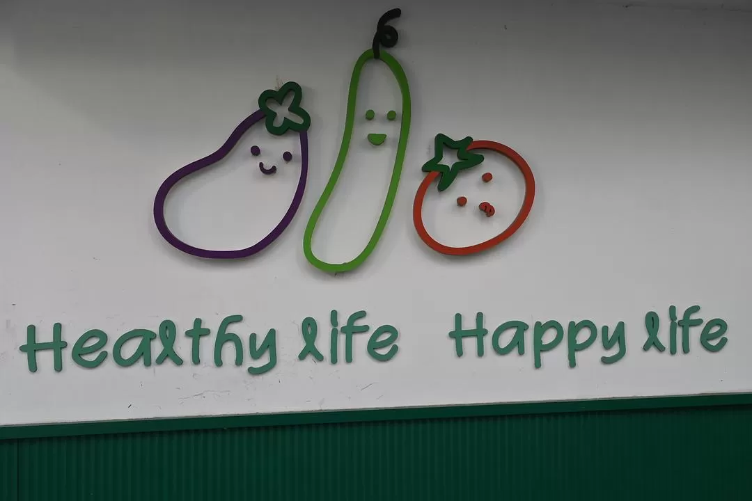 旅游推荐⚡一人游：在🇲🇴的打卡之旅（随心版）