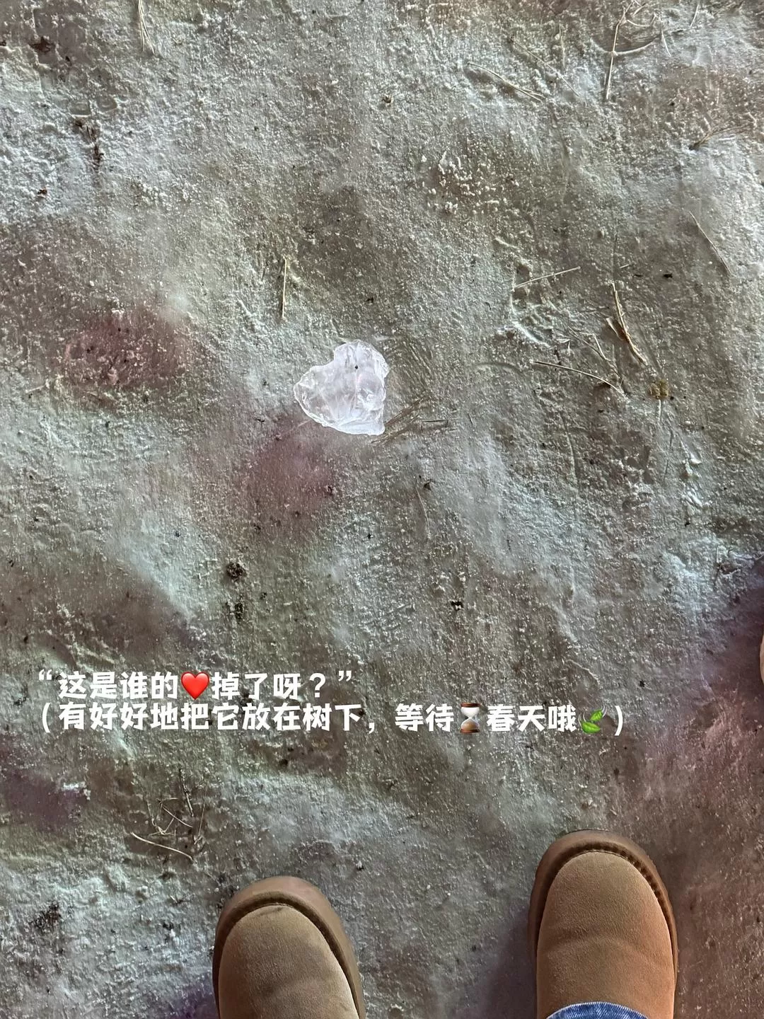 旅游推荐💓一人游：2025年从追一场雪开始（东北篇）