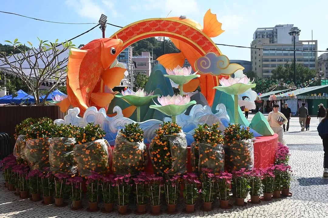 旅游推荐⚡一人游：在🇲🇴的打卡之旅（随心版）