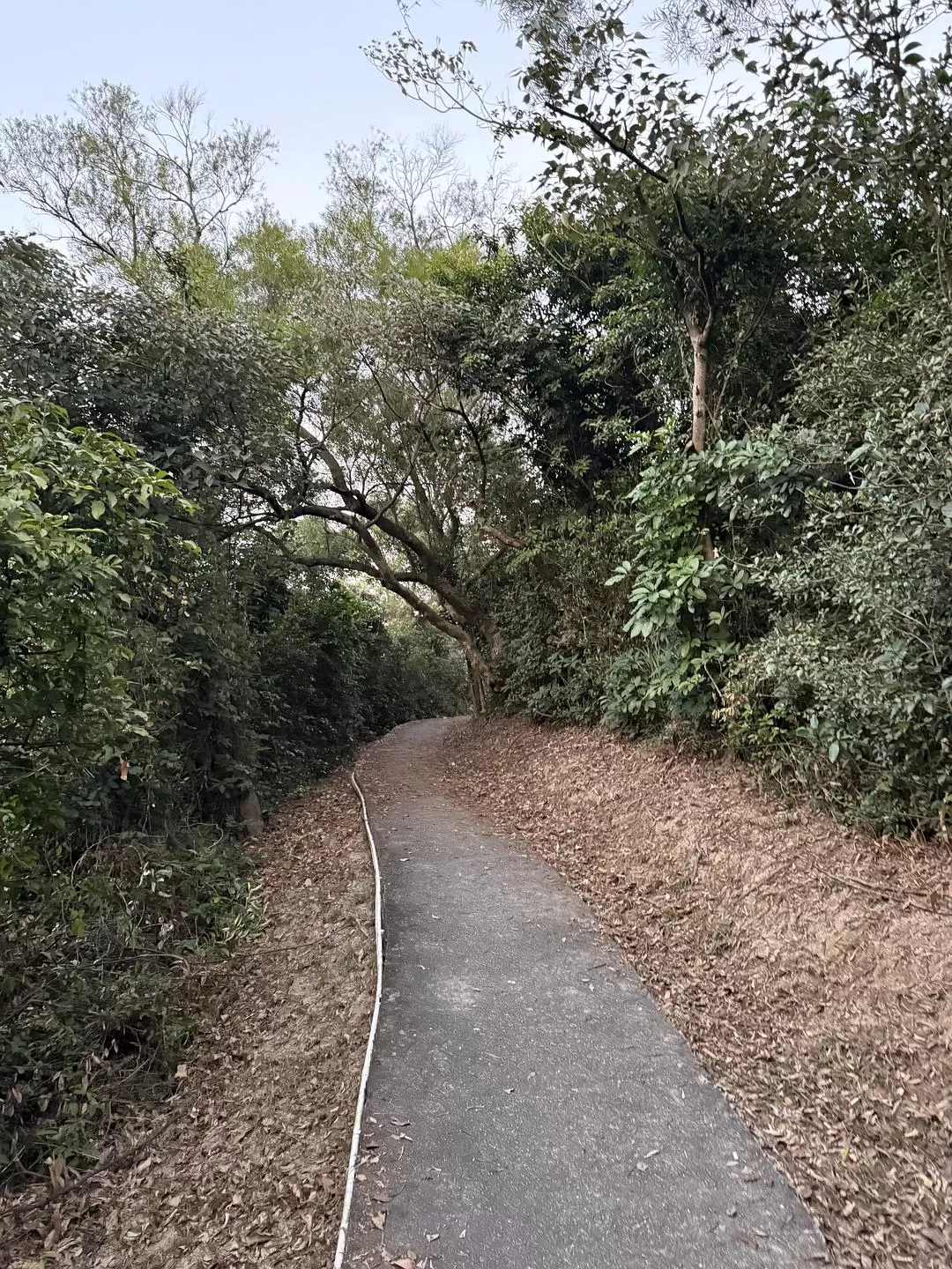 旅游推荐⚡一人游：在🇲🇴的打卡之旅（随心版）