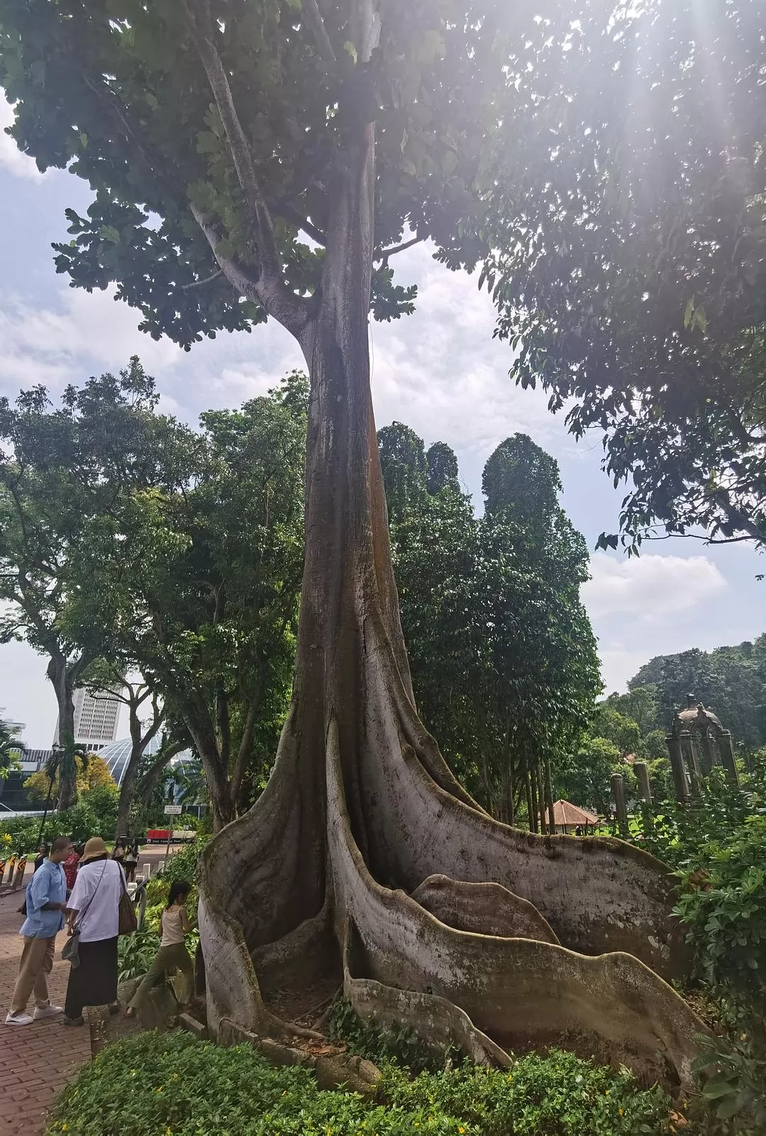 旅游推荐🏅两人游:春节新加坡走走停停