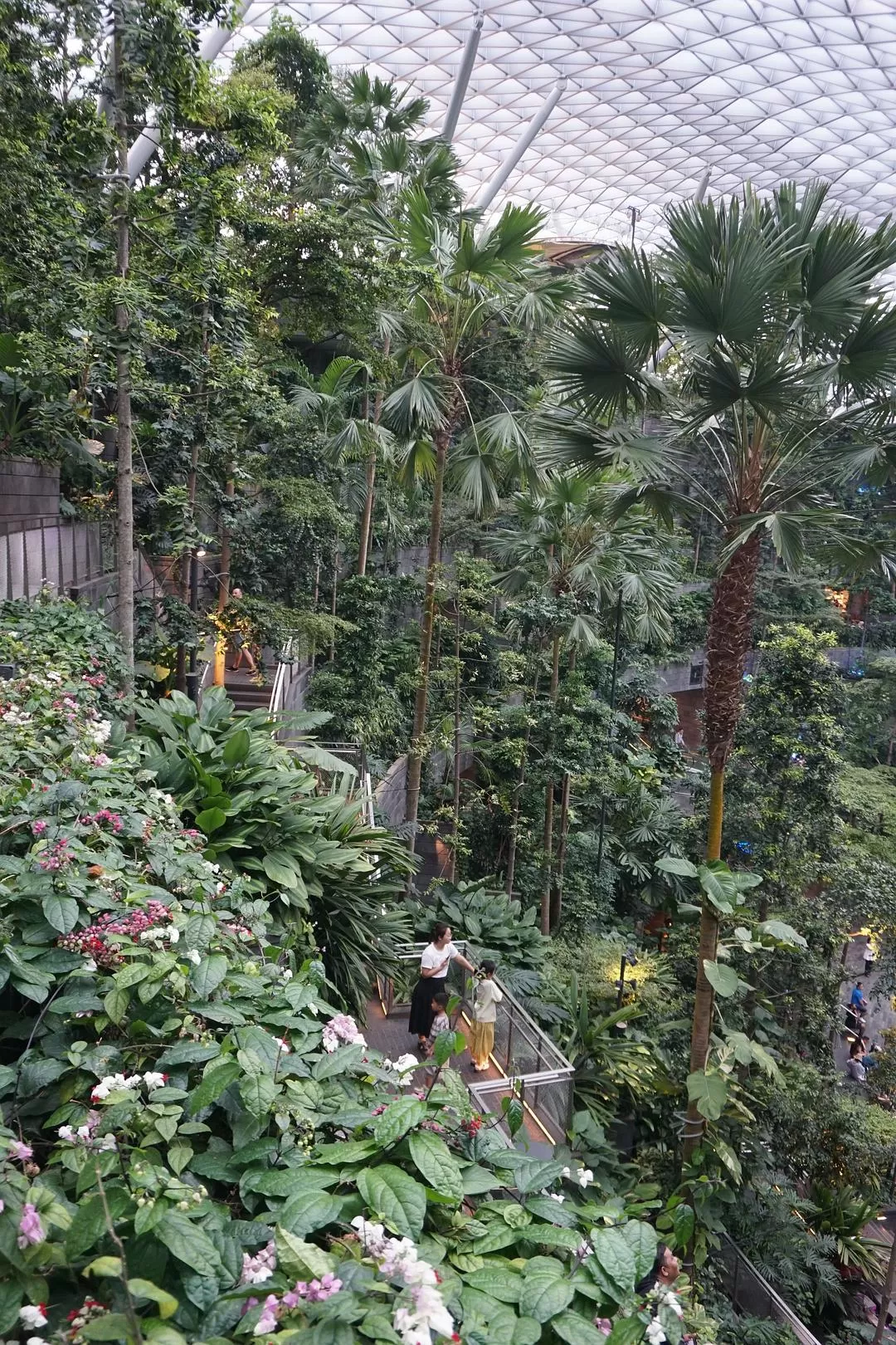 旅游推荐🏅两人游：春节新加坡走走停停