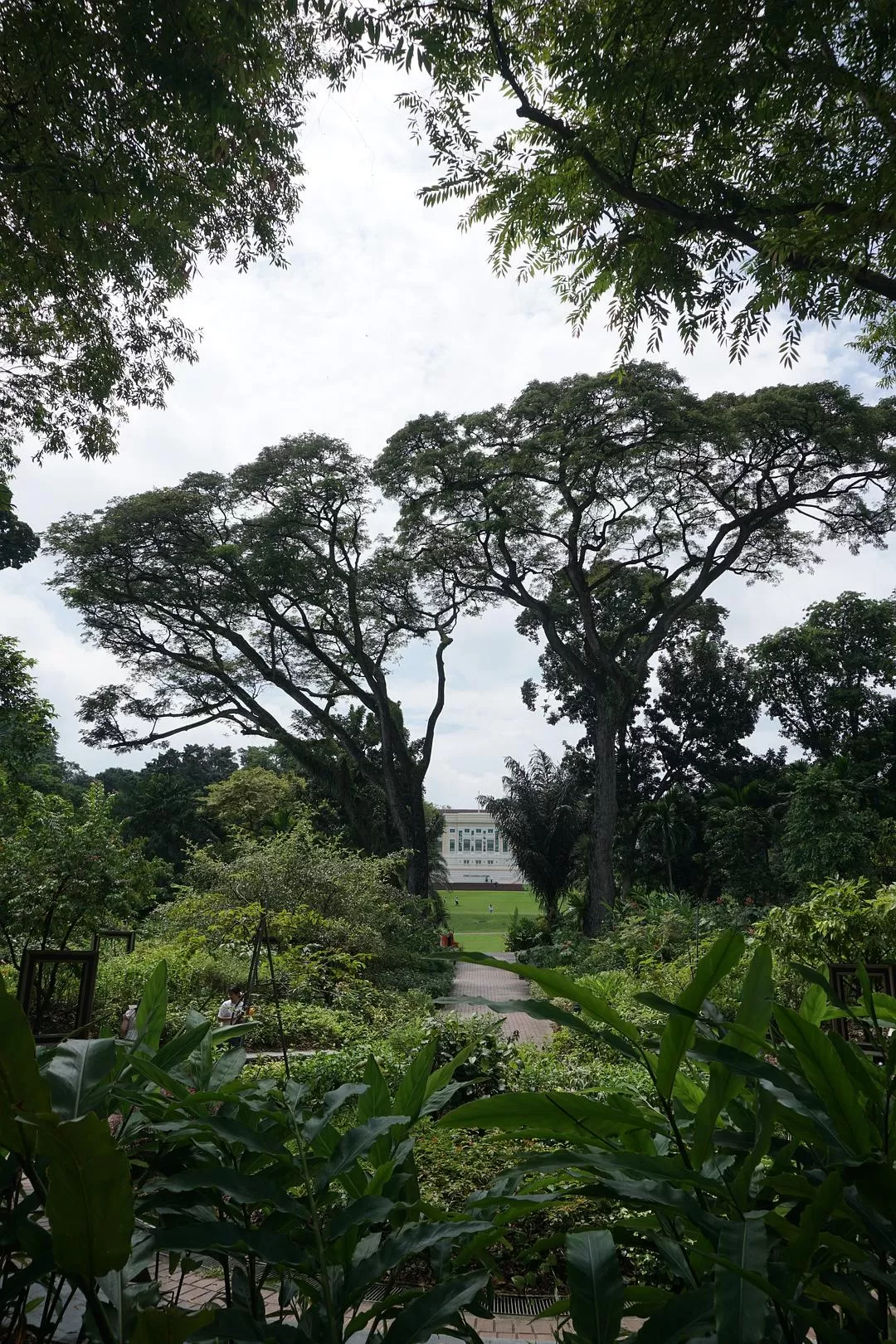 旅游推荐🏅两人游:春节新加坡走走停停