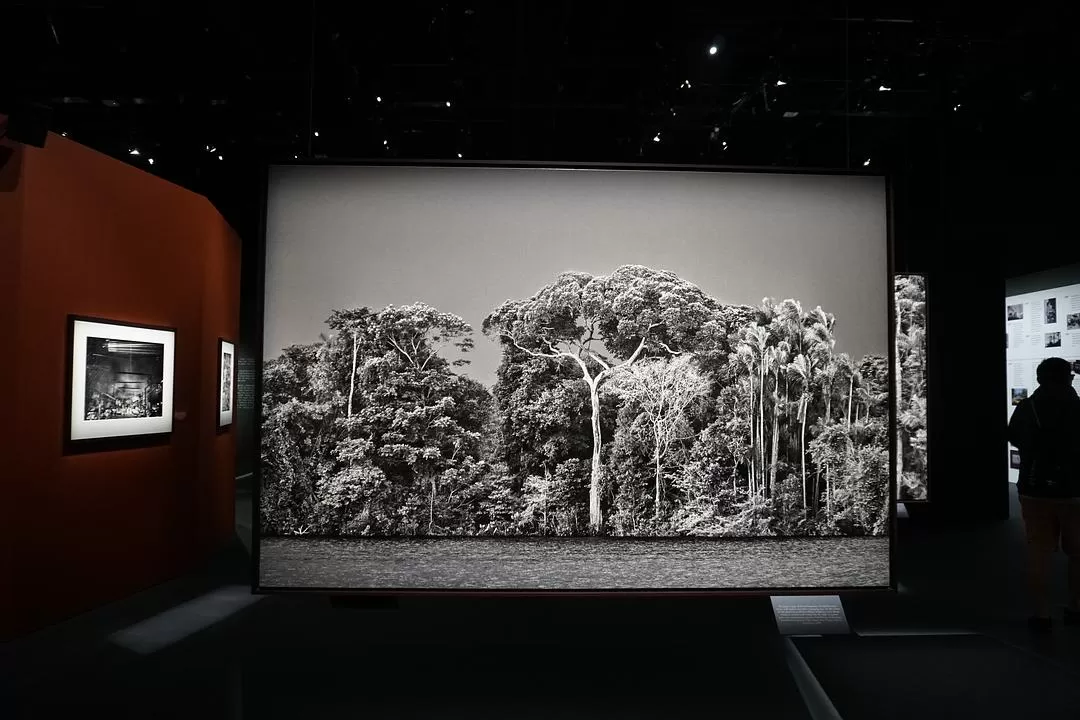 旅游推荐🏅两人游:春节新加坡走走停停