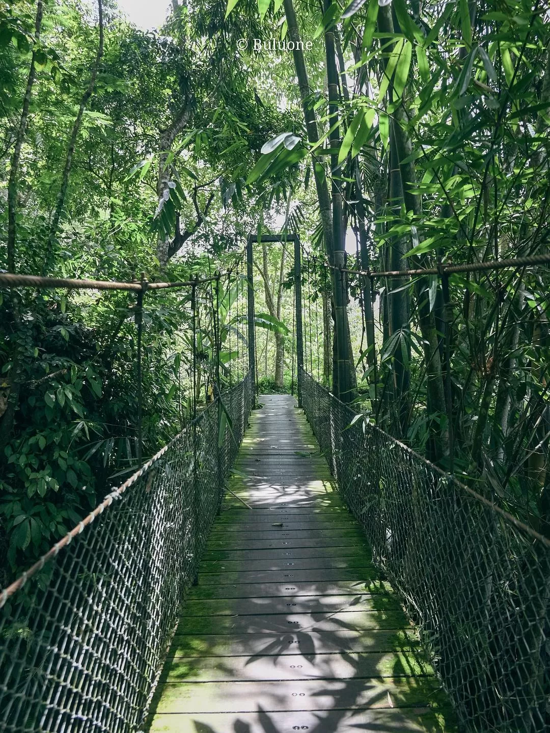 旅游推荐💞一人游：30天国外旅游，7k不到