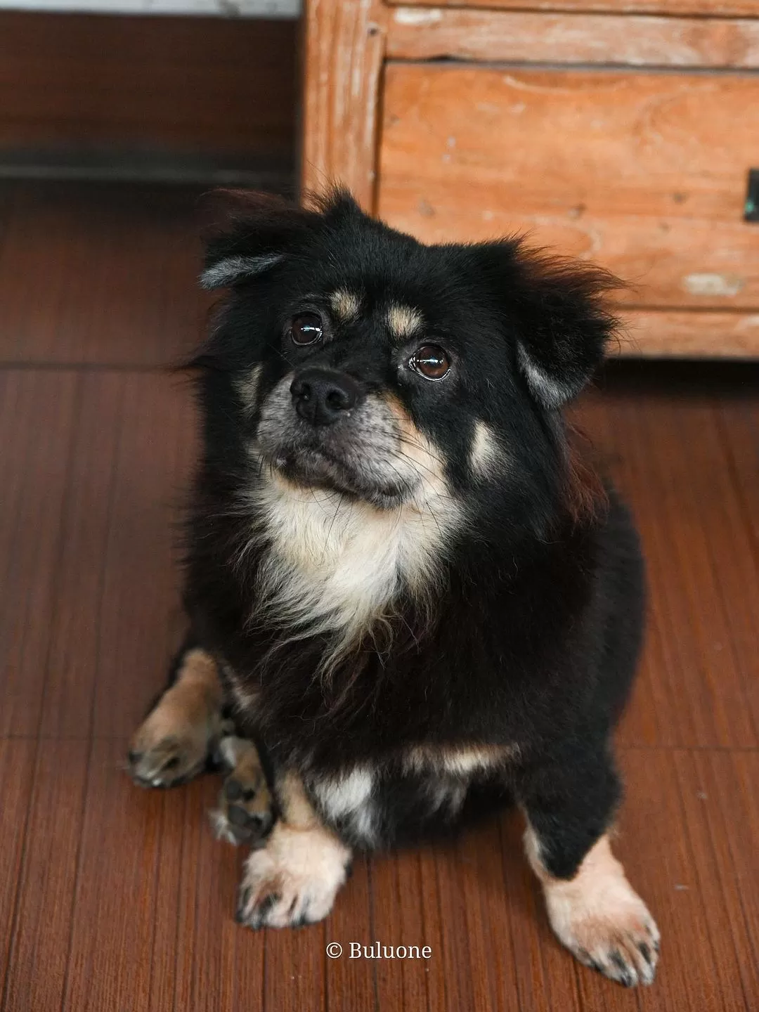 旅游推荐💞一人游：30天国外旅游，7k不到