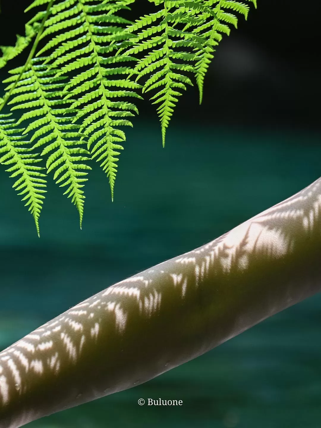 旅游推荐💞一人游：30天国外旅游，7k不到