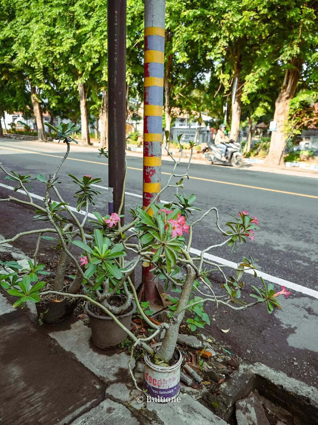 旅游推荐💞一人游：30天国外旅游，7k不到