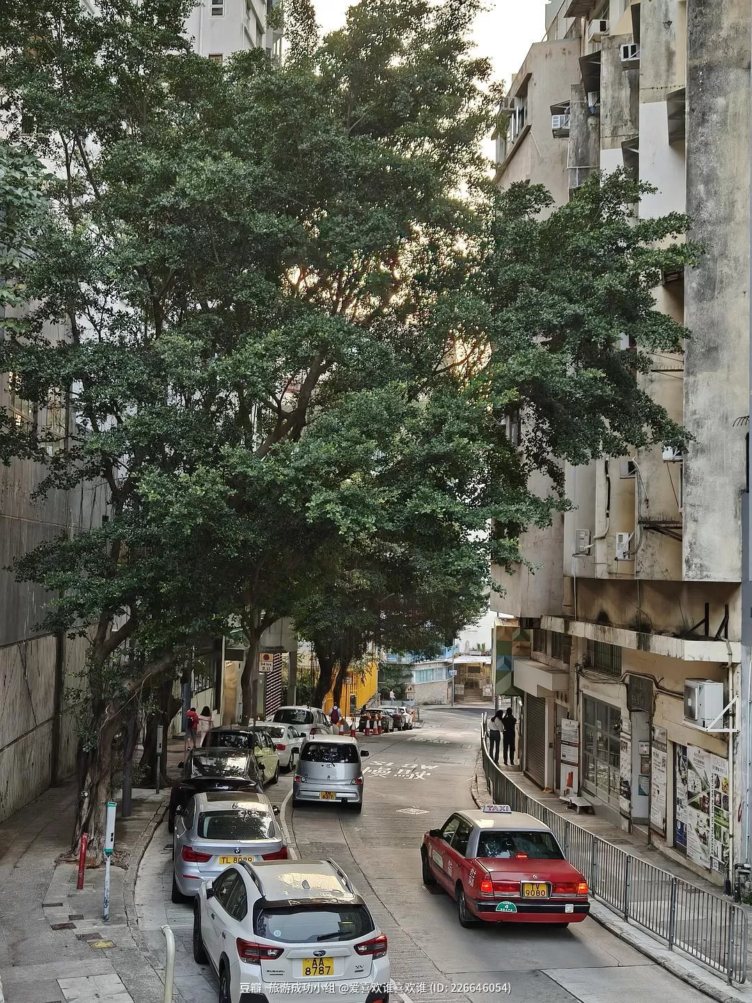 旅游推荐🤬两人游：港珠澳深旅行大成功