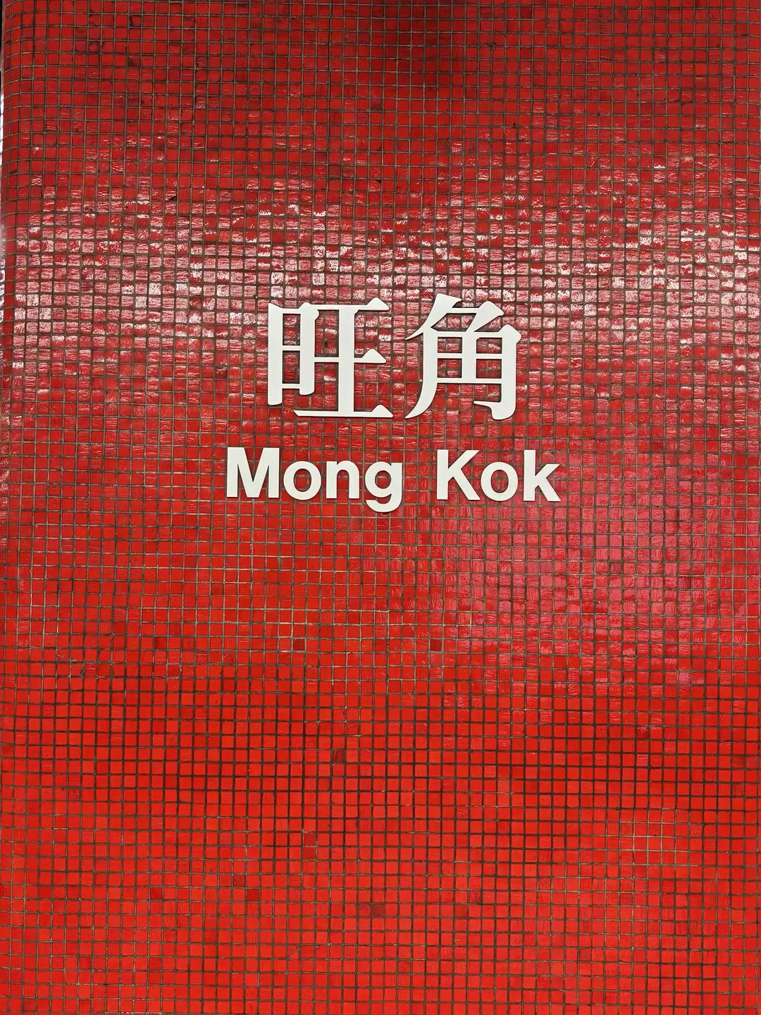 旅游推荐🤬两人游：港珠澳深旅行大成功