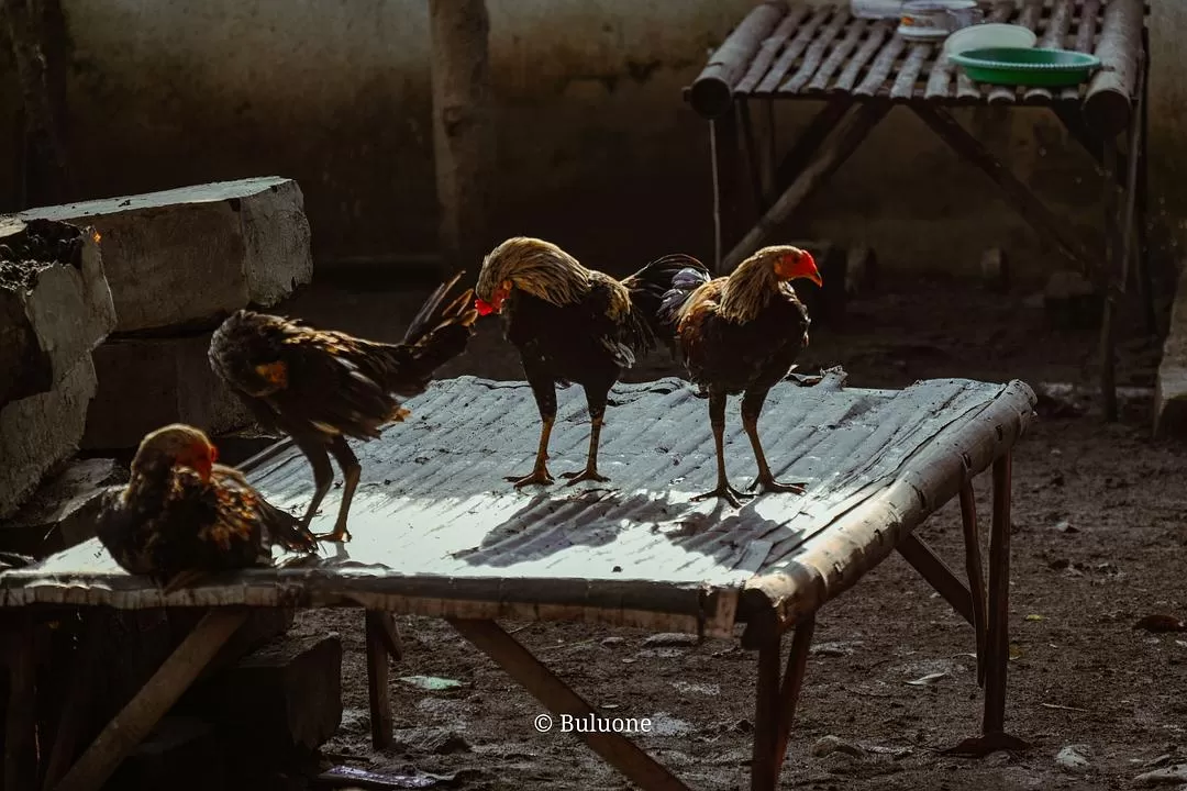 旅游推荐💞一人游：30天国外旅游，7k不到