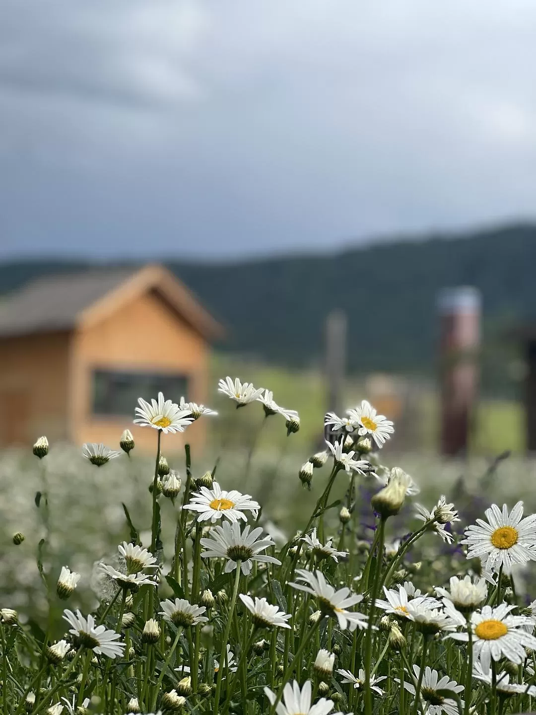旅游推荐🔥一人游：心留在了新疆，回不来了（终于完结啦🎉🎉🎉）